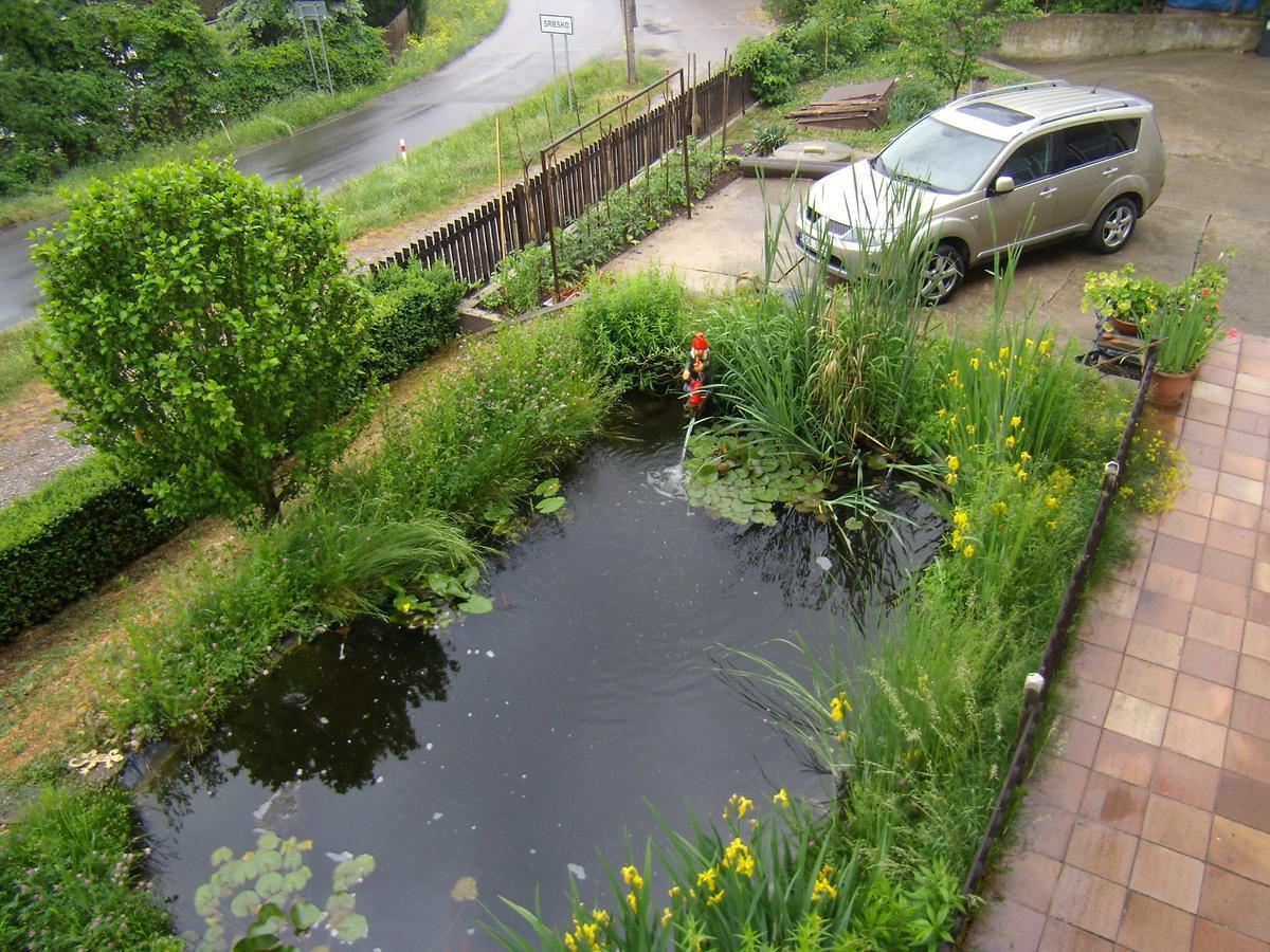 Penzion Lida Srbsko ภายนอก รูปภาพ